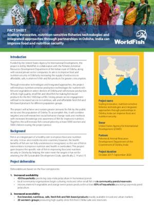 Scaling innovative, nutrition-sensitive fisheries technologies and integrated approaches through partnerships in Odisha, India can improve food and nutrition security