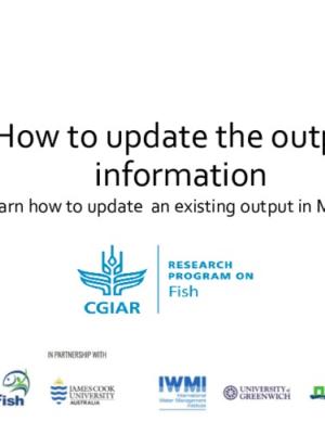Illustrated guideline on how to update an  existing output in MEL
