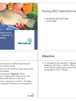 Assessing potential use of Novacq™ in reducing and replacing fishmeal in diet for GIFT Tilapia in Penang