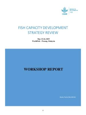 Capacity Development Strategy Review Workshop