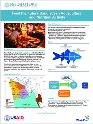 BANA Activity poster