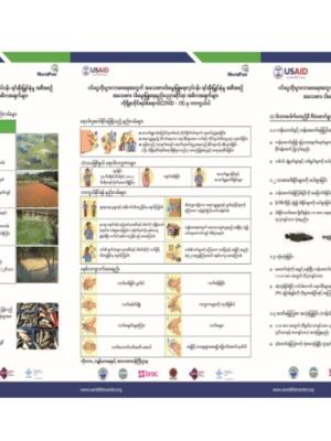 Small Scale Aquaculture (SSA) and COVID-19 (Burmese version)