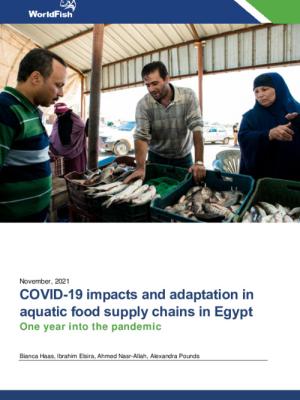 COVID-19 impacts and adaptation in aquatic food supply chains in Egypt - One year into the pandemic