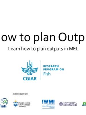 Guideline on how to plan an output through the MEL platform