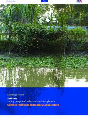 Suchana: Ending the cycle of undernutrition in Bangladesh. Climate resilience technology: aquaculture
