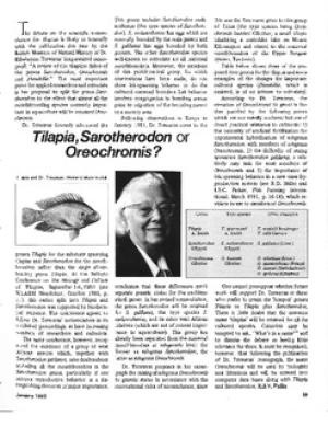 Tilapia, Sarotherodon or Oreochromis?