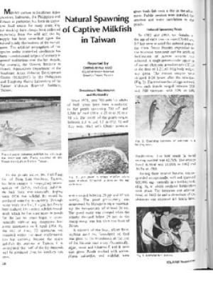 Natural spawning of captive milkfish in Taiwan