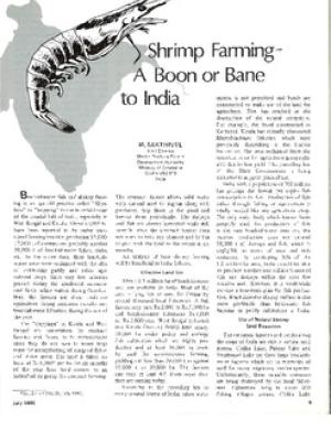 Shrimp farming: a boon or bane to India