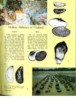 Mollusc fisheries in Thailand