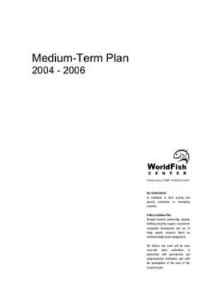Medium-term plan 2004-2006