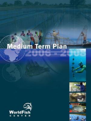 Medium-term plan 2006 - 2008