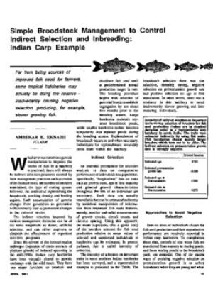 Simple broodstock management to control indirect selection and inbreeding: Indian carp example