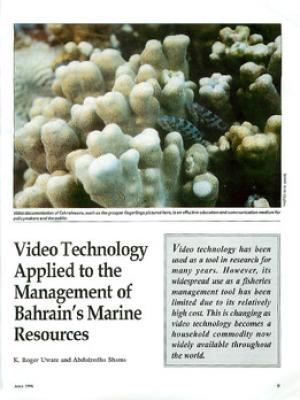 Video technology applied to the management of Bahrain's marine resources