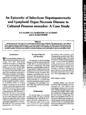 An epizootic of infectious hepatopancreatic and lymphoid organ necrosis disease in cultured Penaeus monodon: a case study