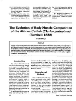 The evolution of body muscle composition of the African catfish (Clarias gariepinus) (Burchell 1822)