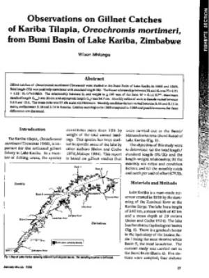Observations on gillnet catches of Kariba tilapia, Oreochromis mortimeri from Bumi Basin of Lake Kariba, Zimbabwe