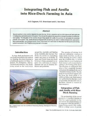 Integrating fish and azolla into rice-duck farming in Asia
