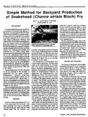 Simple method for backyard production of snakehead (Channa striata Bloch) fry