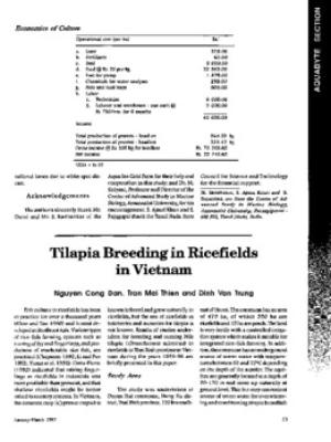 Tilapia breeding in ricefields in Vietnam