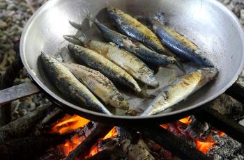 Aquatic foods are the cornerstone of the diets, livelihoods, economies and cultures of many communities around the world. Photo by Wade Fairley.  