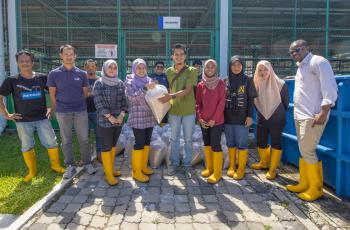 WorldFish provides 14,000 GIFT fry to the Jitra Aquaculture Extension Center 