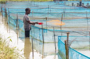 Aquaculture in Nigeria