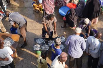fish market in Zanzibar, Tanzania. Photo by Dilruba Sharmin, WorldFish