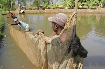Fish farmers construct a pond in Malawi. Photo by Stevie Mann.