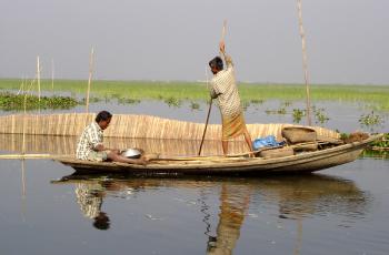 Fishing in the floodplains of Bangladesh. Photo by WorldFish. 