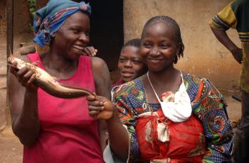 Fisherwomen hold a catfish harvested from their pond in Cameroon. Photo by Randall Brummett. 