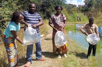 Mfune assisting a farmer to stock their pond. Photo: Mary Lundeba