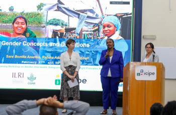 Facilitators lead participants through interactive discussions on inclusive agrifood systems.