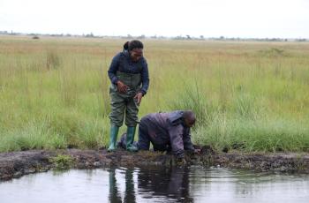 Farmer capacity building in chitunkubwe.Photo by Agness Chileya, WorldFish