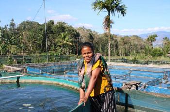 Amelia Da Silva has six ponds in Leohitu village, Timor-Leste, where she farms genetically improved farmed tilapia as part of a farmer cluster supported by the Partnership for Aquaculture Development in Timor-Leste Phase 2 (PADTL2) project. Photo by Carlos Alves Almeida. 