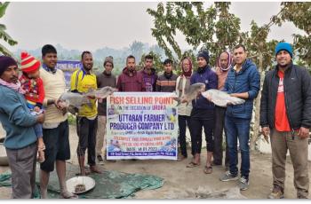 FPC members during selling their farm produced fish. Photo by Kashyap Borah, WorldFish.