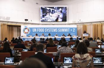 At the recent UN Food Systems Summit +2 Stocktaking Moment, ministers agreed on the vital importance of supporting the sustainable development of aquatic food systems. Photo: FAO