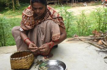 Urebashi Mallick prepares fresh mola in Gobindpur village Odisha India