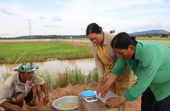 Women-Led Prawn Sampling for Growth Monitoring, Kampong Thom Province © SEAN Vichet