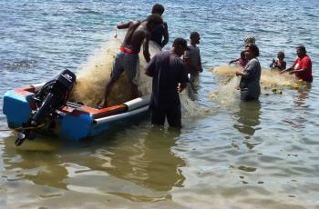 Coastal fishers in Solomon Islands removing their catch from a gill net. Photo by Johann Bell.