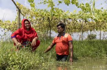 AIN Project in Bangladesh. Photo by Habibul Haque.