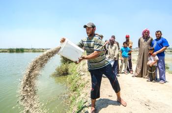 Farmer learning about feeding fish, Abbassa, Sharkia. Photo by Heba El Begawi, WorldFish.