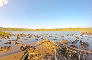 Where milkfish growout is done, Kobibi lake, Solomon Islands. Photo by Reuben Sulu.