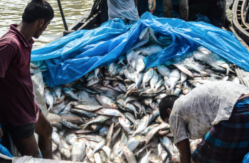 12th International Forum on Illegal, Unreported and Unregulated Fishing