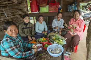 CFR villagers gather vegetables and fish to prepare a nutritious and healthy meal for all the community children. Moung District. Battambang. Photo by Fani Llauradó.