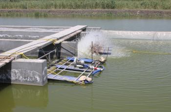 In-pond raceway model established for the first time in Egypt at Abbassa Research Center run by WorldFish, in cooperation with the USSEC, under the SDC- funded STREAMS project. Photo by Sara Fouad.