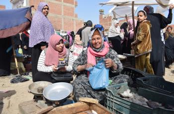 EWFIRE researcher asking a local woman fish retailer in Abu-Hammad market, Sharkia, Egypt. Photo by Mona El Azzazy, WorldFish.