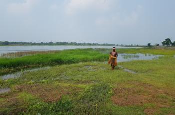 Fisher with cast net, Laxminarayana Primary Fisherman's Cooperative Society, Tolakchuin, Suliapada block, Mayurbhanj district, Odisha, India. Photo by Cecily Layzell.