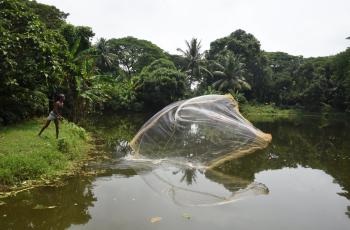 Fish farmer throws a cast net in Gobindpur village, Kantapada block, Cuttack, Odisha, India. Photo by Arabinda Mahapatra.