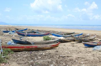 Paddle canoe fleet on Timor-Leste’s south coast. Adarai, Viqueque. Photo by Alex Tilley.