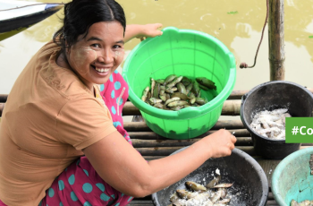 Country Event: WorldFish Myanmar observes Nutrition Month Country Event: WorldFish Myanmar observes Nutrition Month